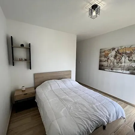 Apartament Pour Grand Groupe Tuluza